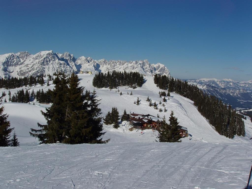Ferienwohnungen Salvenmoser Johanna Scheffau am Wilden Kaiser Exterior foto